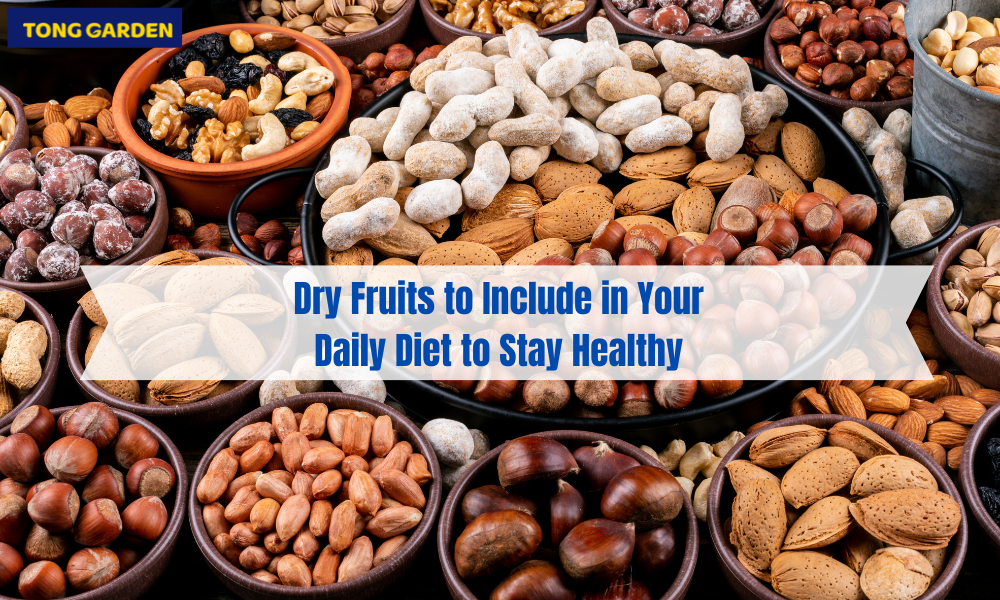 5 Dry Fruits to Include in Your Daily Diet to Stay Healthy