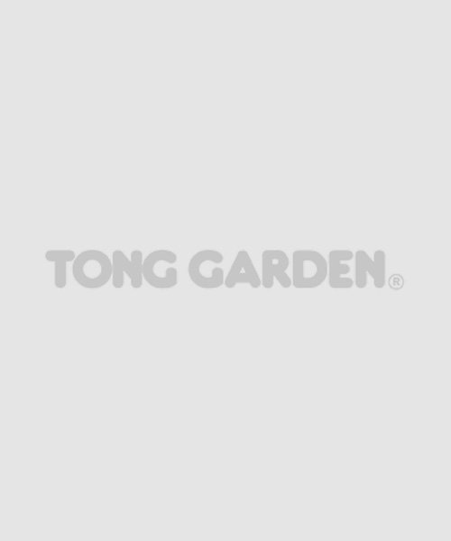 Tong Garden Salted Peanuts Can, 150